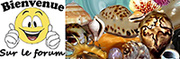 Les coquillages par les timbres - Tome : OCEANIE  - Page de Garde 3111811461